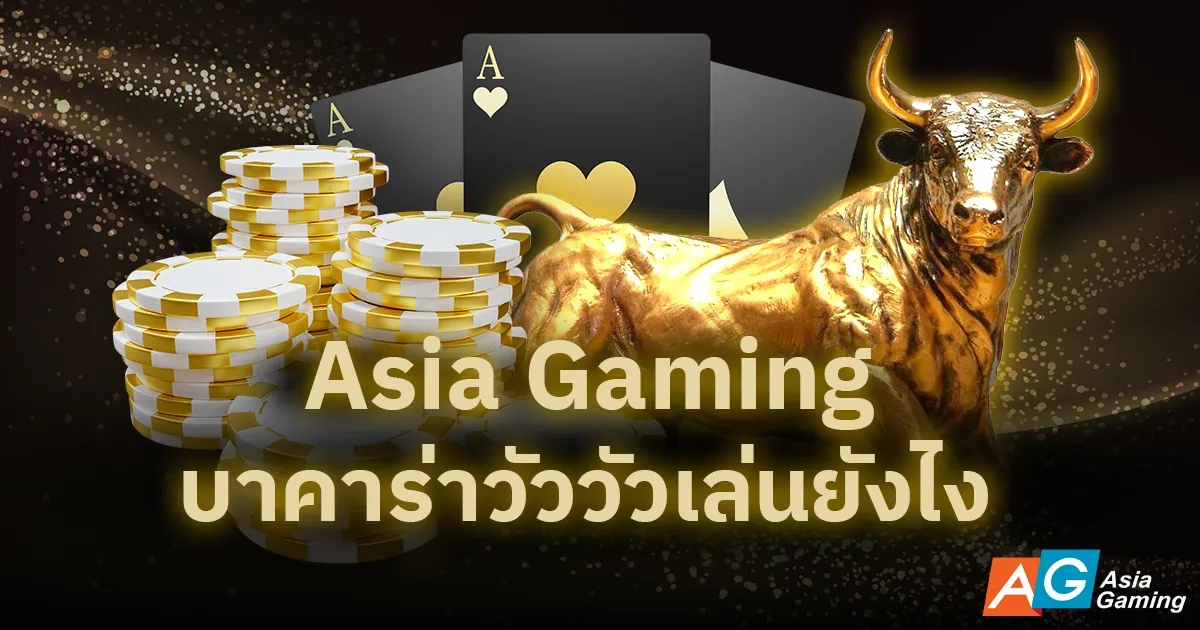 Asia Gaming บาคาร่าวัววัวเล่นยังไง